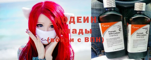 прущие грибы Белокуриха