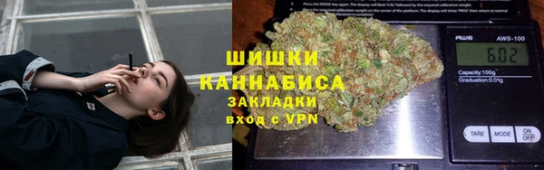 шишки Беломорск