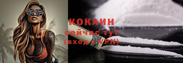 шишки Беломорск