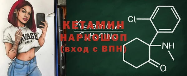 шишки Беломорск