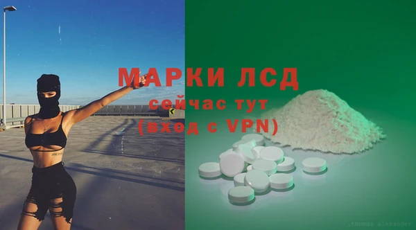 прущие грибы Белокуриха