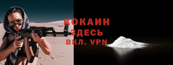 шишки Беломорск