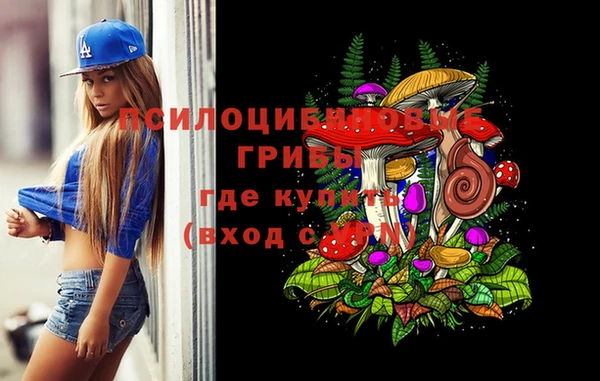 гашишное масло Богданович