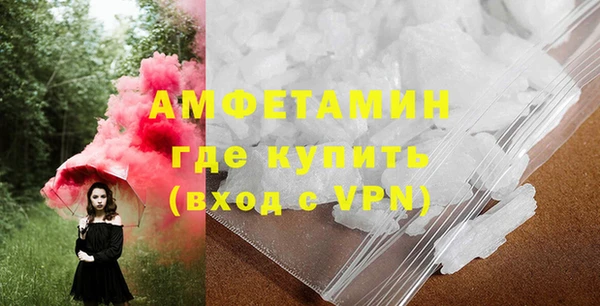 шишки Беломорск