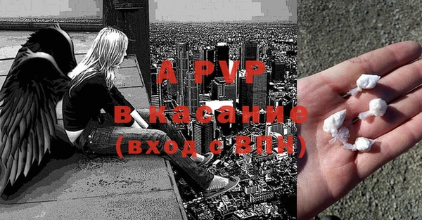 прущие грибы Белокуриха