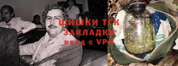 шишки Беломорск