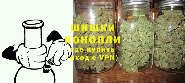 прущие грибы Белокуриха