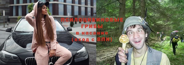 прущие грибы Белокуриха