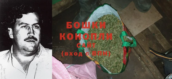 прущие грибы Белокуриха