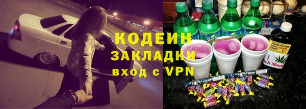 прущие грибы Белокуриха