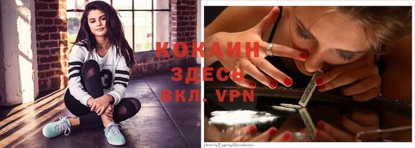 прущие грибы Белокуриха
