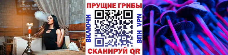 Псилоцибиновые грибы Magic Shrooms Светлогорск