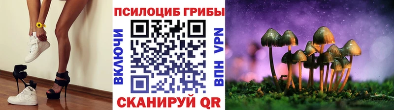 Псилоцибиновые грибы ЛСД  магазин  наркотиков  Светлогорск 